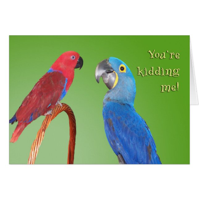 Skvaller Hälsningskort (Framsidan Horizontal)