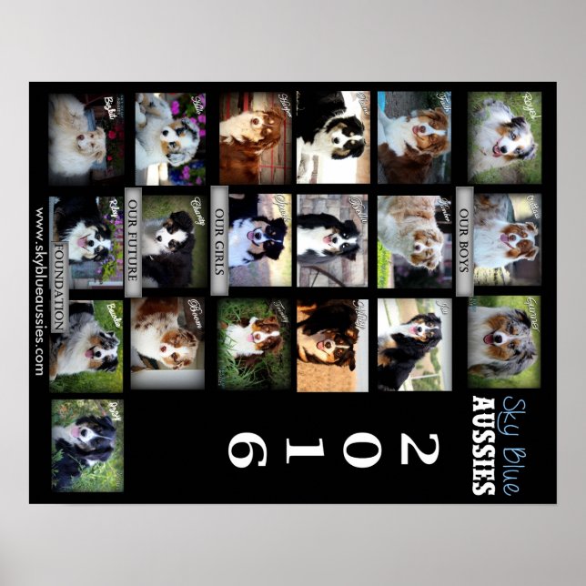 Sky Blue Aussies 2016 POSTER (Framsidan)