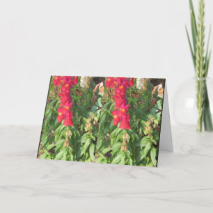 SKY Landskap Vatten Blommor Sjö POND GÅVOR kul Helgkort