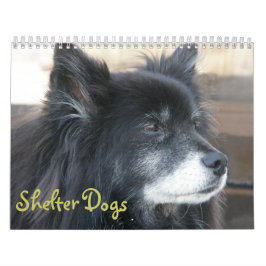 Skydd förföljer kalendern kalender