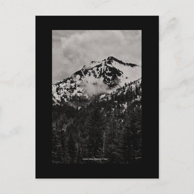 Skydd Vykort (Framsida)