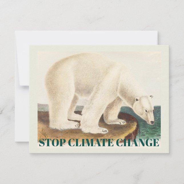 Skydda den arktiska isbjörnen Klimatförändring Kon (Framsida)
