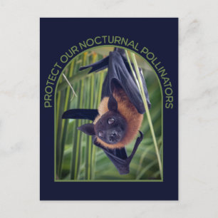 Skydda Fladdermus Vykort