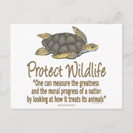 Skydda havssköldpaddor vykort