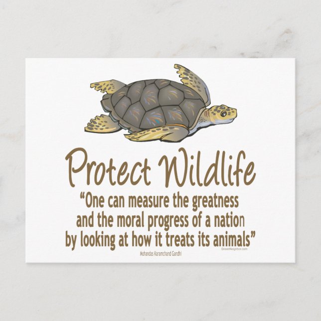 Skydda havssköldpaddor vykort (Framsida)