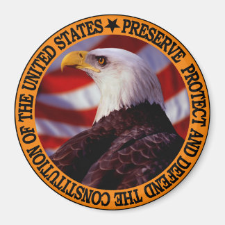 Skydda och försvara magnet