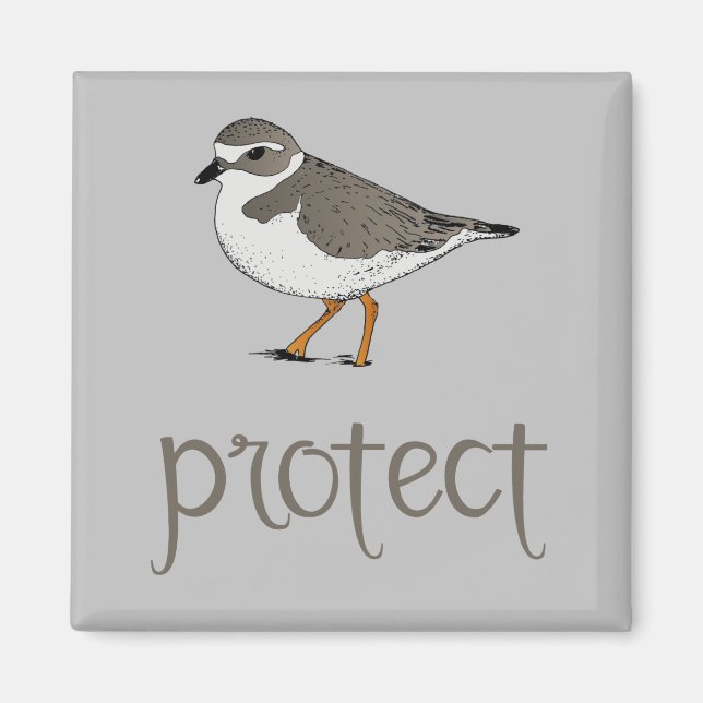 Skydda Piping Plover-fågeln Magnet (Framsidan)