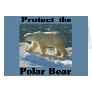 Skydda Polarna Bear Hälsningskort