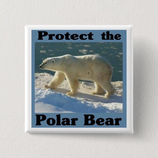 Skydda Polarna Bear Knapp (Framsida)