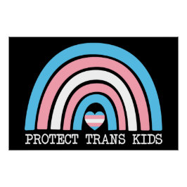 Skydda Trans Kids Perfect Poster