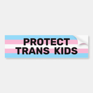 Skydda Trans Kids   Transeuropeiska Flagga Bildekal