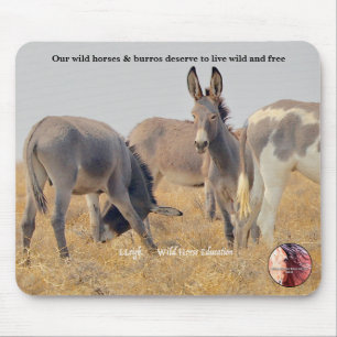 Skydda vår Vild Burros Musmatta