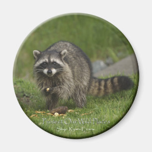 "SKYDDA VÅR VILD STÄLLE" Raccoon Magnets Magnet
