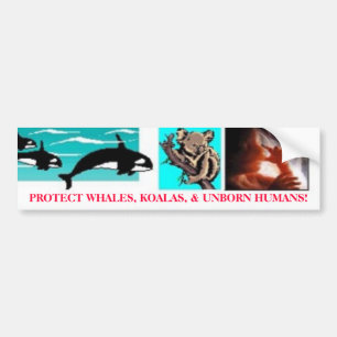 SKYDDA WHALES, KOALAS OCH UNBORN HUMANS! BILDEKAL