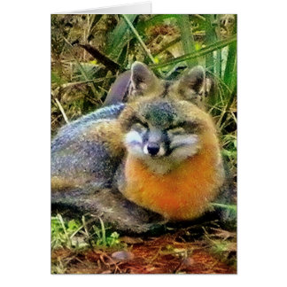 SKYDDA WILDLIFE OBS KORT