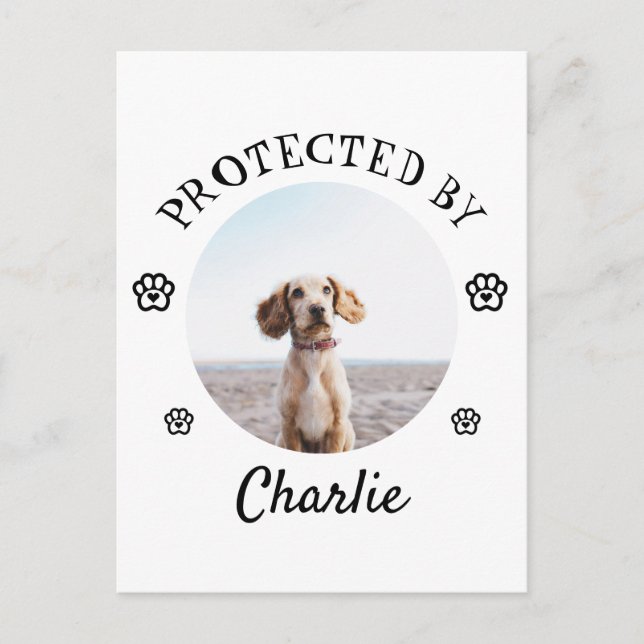 Skyddad Av Hund Foto Tassavtryck Design Helg Vykort (Framsida)