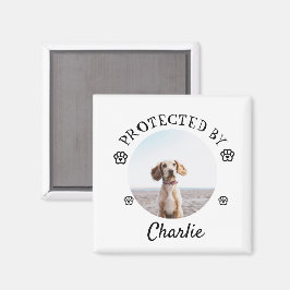 Skyddad Av Hund Foto Tassavtryck Design Magnet
