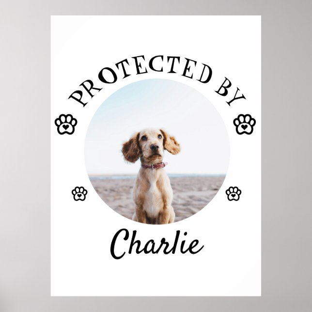 Skyddad Av Hund Foto Tassavtryck Design Poster (Framsidan)