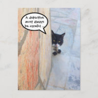 SKYDDAD KATT BAKOM STONSKALEN / Fars dag