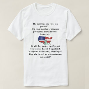 Skyddade din kongressledamot vår demokrati? t shirt