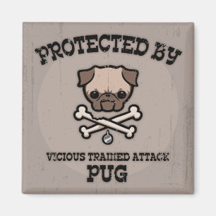 Skyddat av mops magnet