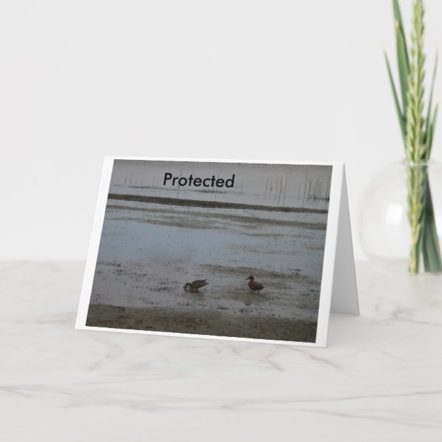 Skyddat Kort (Framsida)