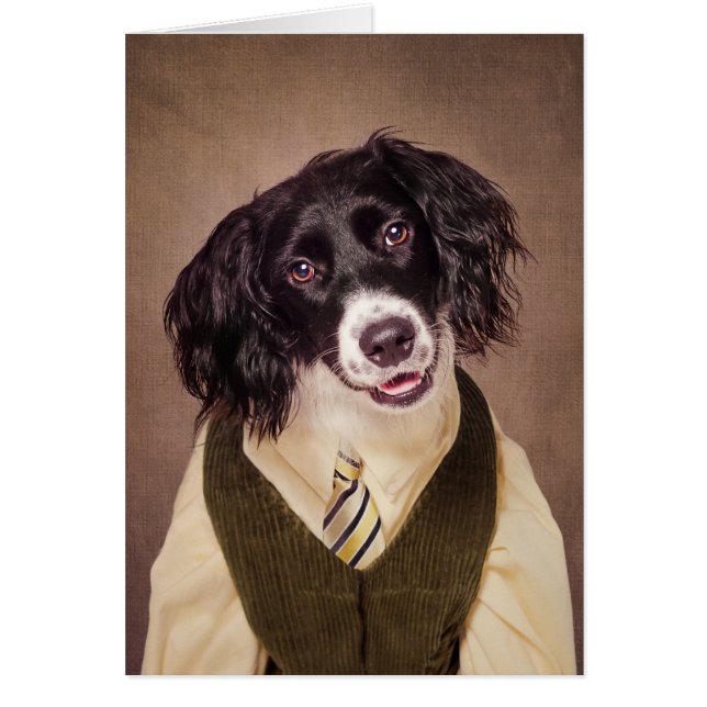 Skyddhusdjur projekterar - cannonballen hälsningskort (Framsidan)