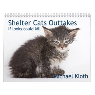 SkyddkattOuttakes Kalender