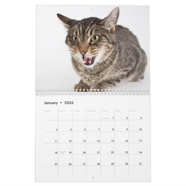 SkyddkattOuttakes Kalender (Jan 2026)
