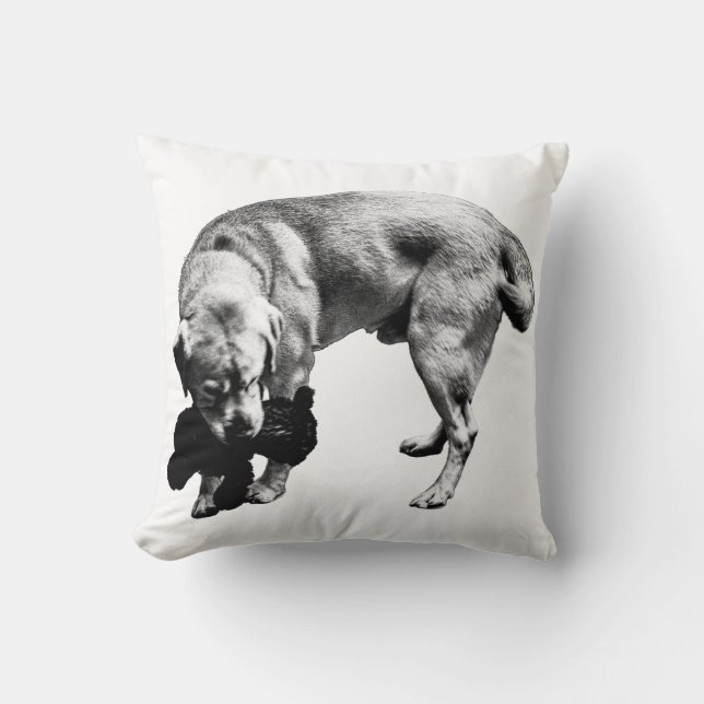 Skyddskurva Kudde (Framsida)