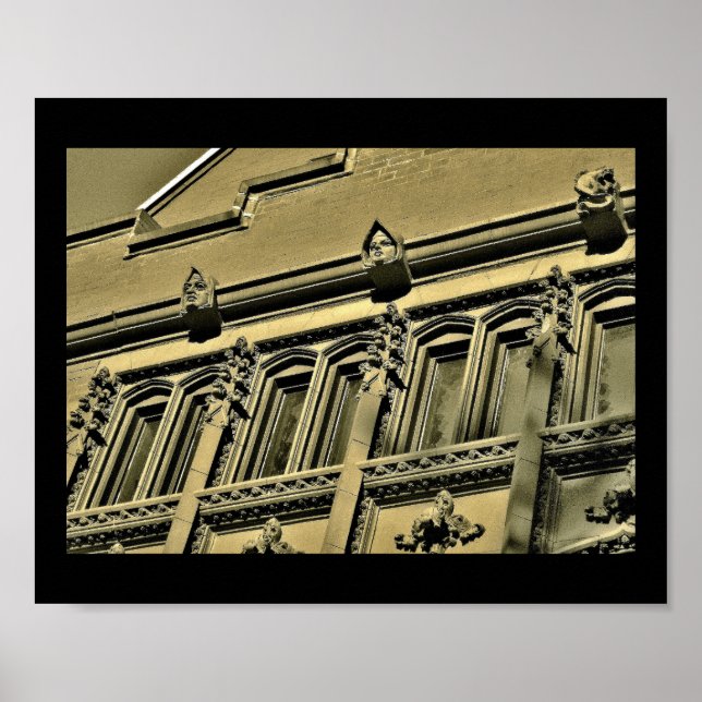 Skyddsstatus Poster (Framsidan)