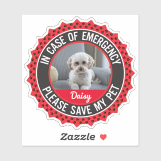 Skyddsvarning för sällskapsdjur med Photo Namn Edi Klistermärken