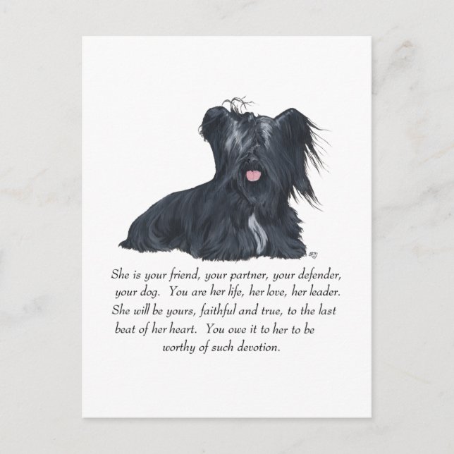 Skye Terrier HONÖRSMINNE Vykort (Framsida)