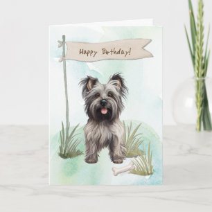 Skye Terrier Hund aveln under födelsedagsskylt Kort