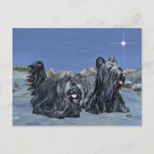 SKYE Terrier på en vinterskväll Vykort