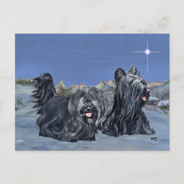 SKYE Terrier på en vinterskväll Vykort (Framsida)