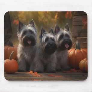 Skye Terrier Puppy Autumn Delight Pumpkin Musmatta