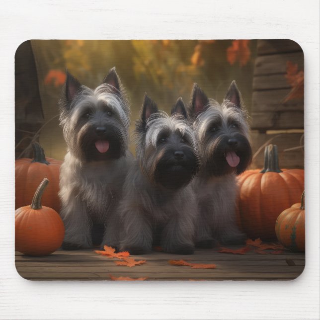 Skye Terrier Puppy Autumn Delight Pumpkin Musmatta (Framsidan)