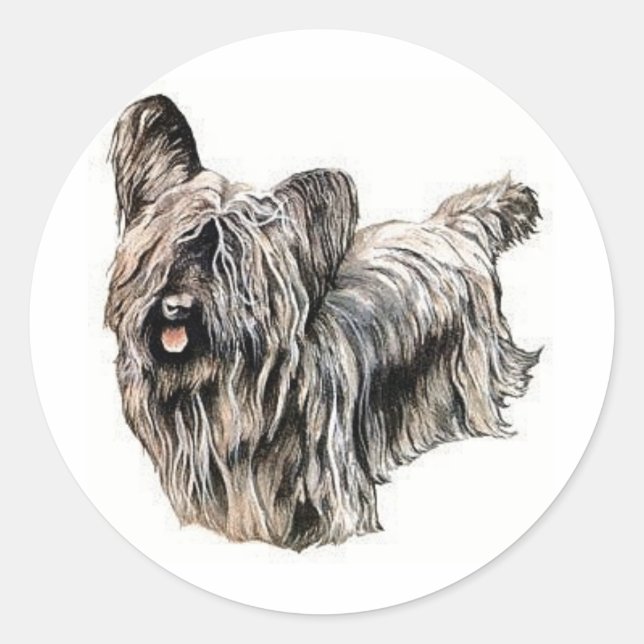 Skye Terrier Runt Klistermärke (Framsida)
