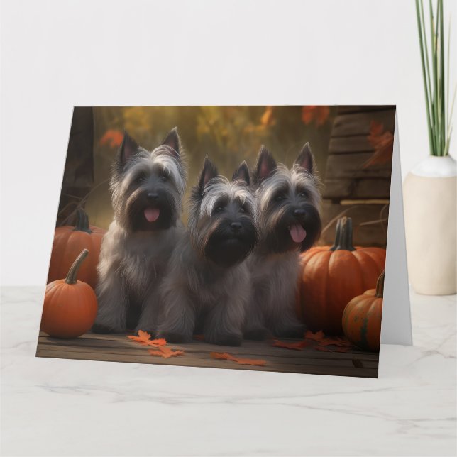 Skye Terrier Valp Autumn Delight Pumpkin  Kort (Framsida)