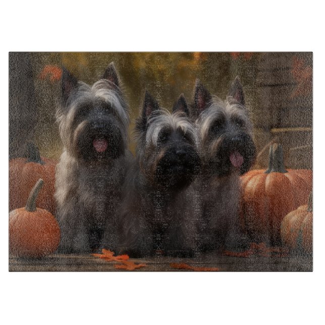 Skye Terrier Valp Höstglädje Pumpa  (Framsidan)