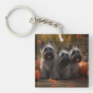 Skye Terrier Valp Höstglädje Pumpa