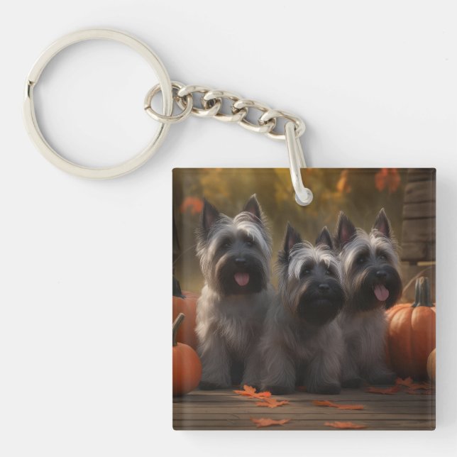 Skye Terrier Valp Höstglädje Pumpa (Framsidan)