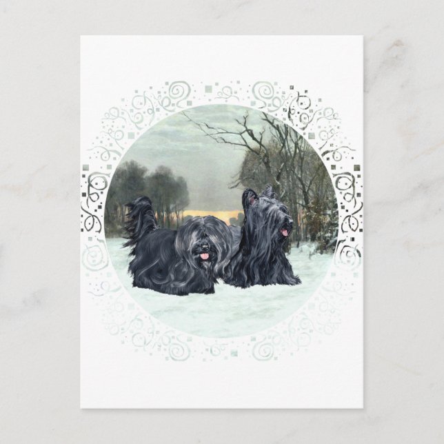 Skye Terriers Snöig solnedgång Vykort (Framsida)
