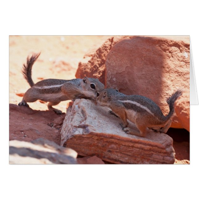 Skygga kyssen hälsningskort (Framsidan Horizontal)