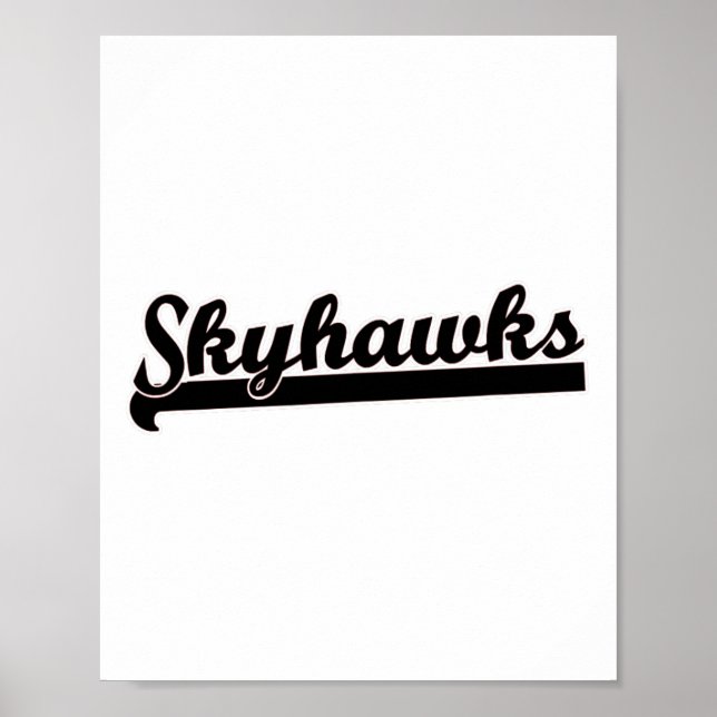 Skyhawks Lacrosse Volleyball Skydiving Basketball Poster (Framsidan)