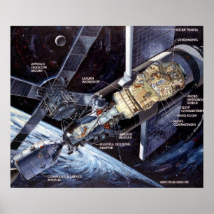 Skylab med Command/Service Module Poster