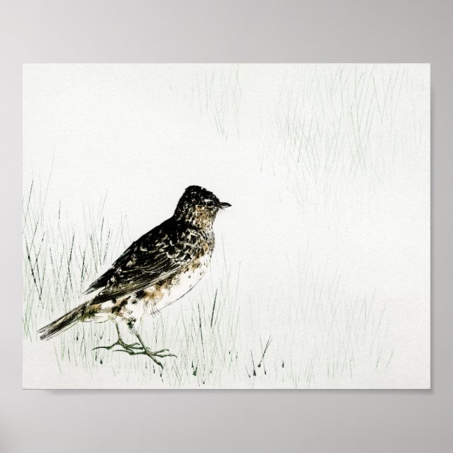 Skylark Bird, Watanabe Seitei Poster (Framsidan)