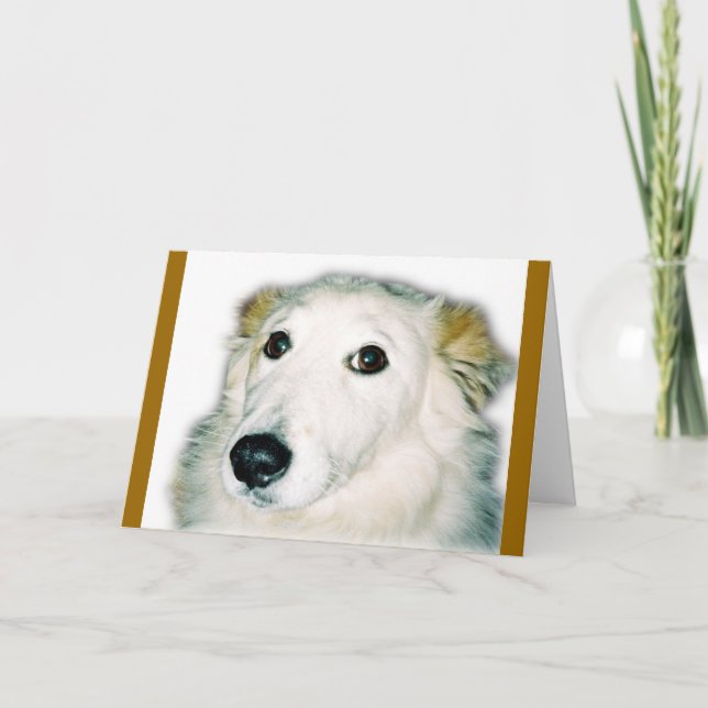 skyldig hund kort (Framsida)