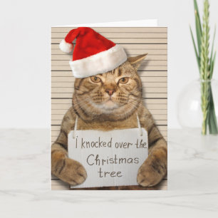 Skyldig katt i tomtehatt julkort kort